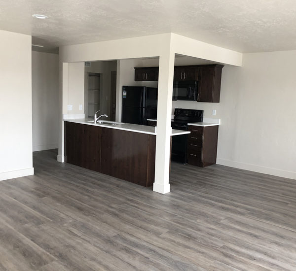 Apartment Renovation – Building A